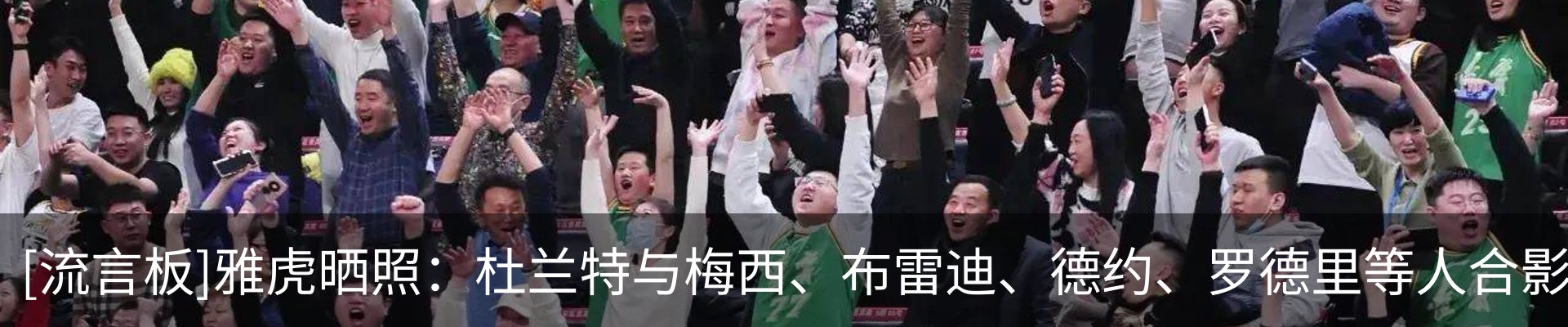 最新动态